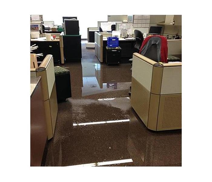 Office Area Water Damage