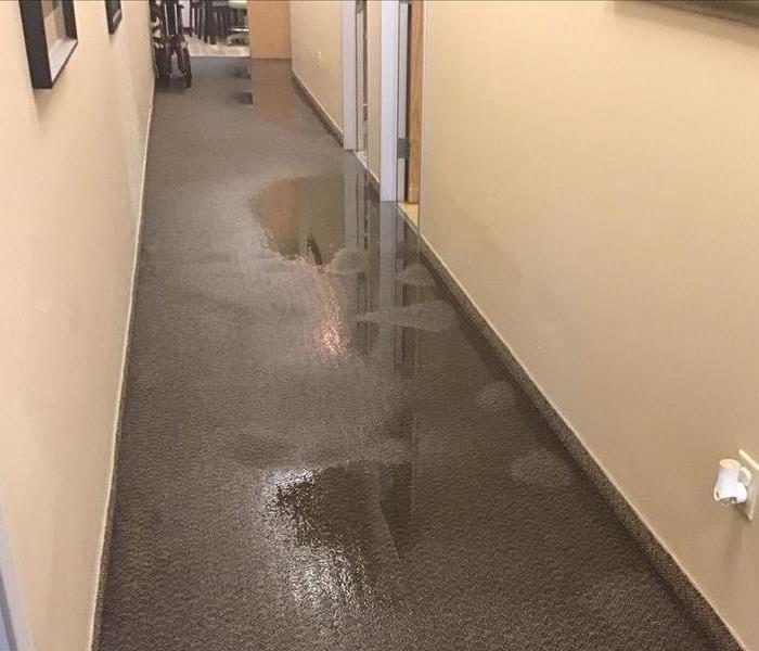 Water in Hallway