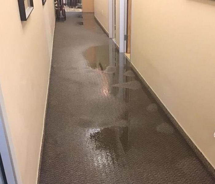Visible Water Damage on Floors