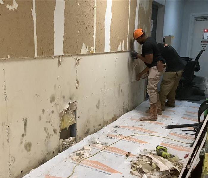 Removing Mold From Walls 